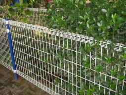 雙圈護(hù)欄網(wǎng)