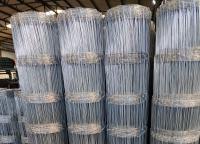 草原護(hù)欄網(wǎng)價(jià)格多少錢一米？