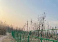 為什么護欄網(wǎng)有那么多名稱？